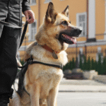 Quando l’ordine diventa Istituzione: nascita e sviluppo della Pubblica Sicurezza